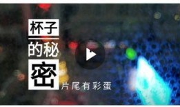 监管视频爆料是什么,行业乱象背后的真相